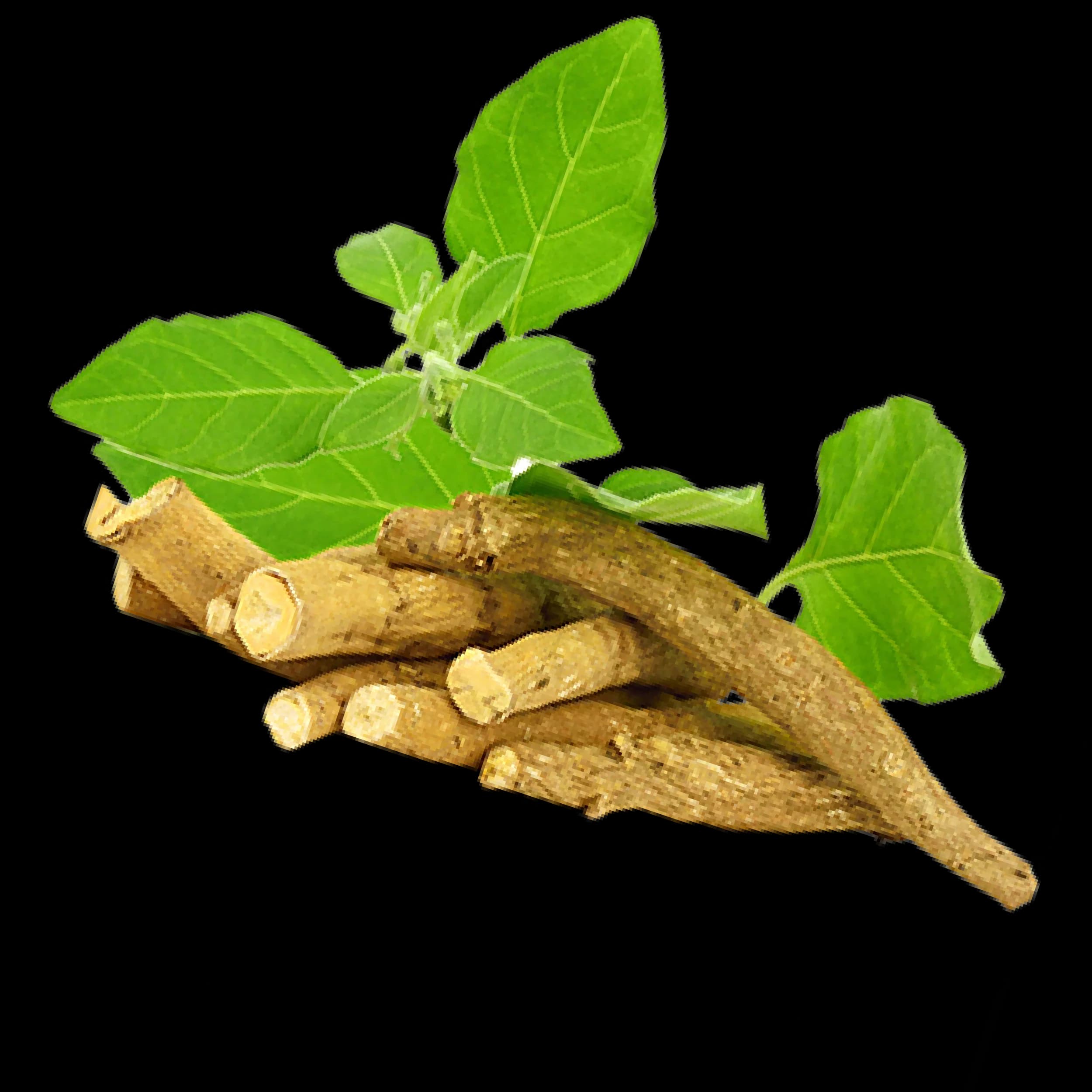 Ashwagandha 