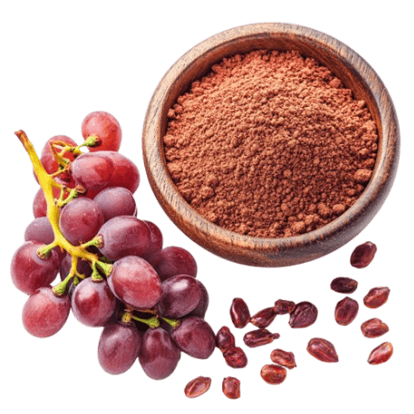 Grape Seed Extract