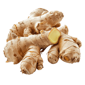 Ginger Root