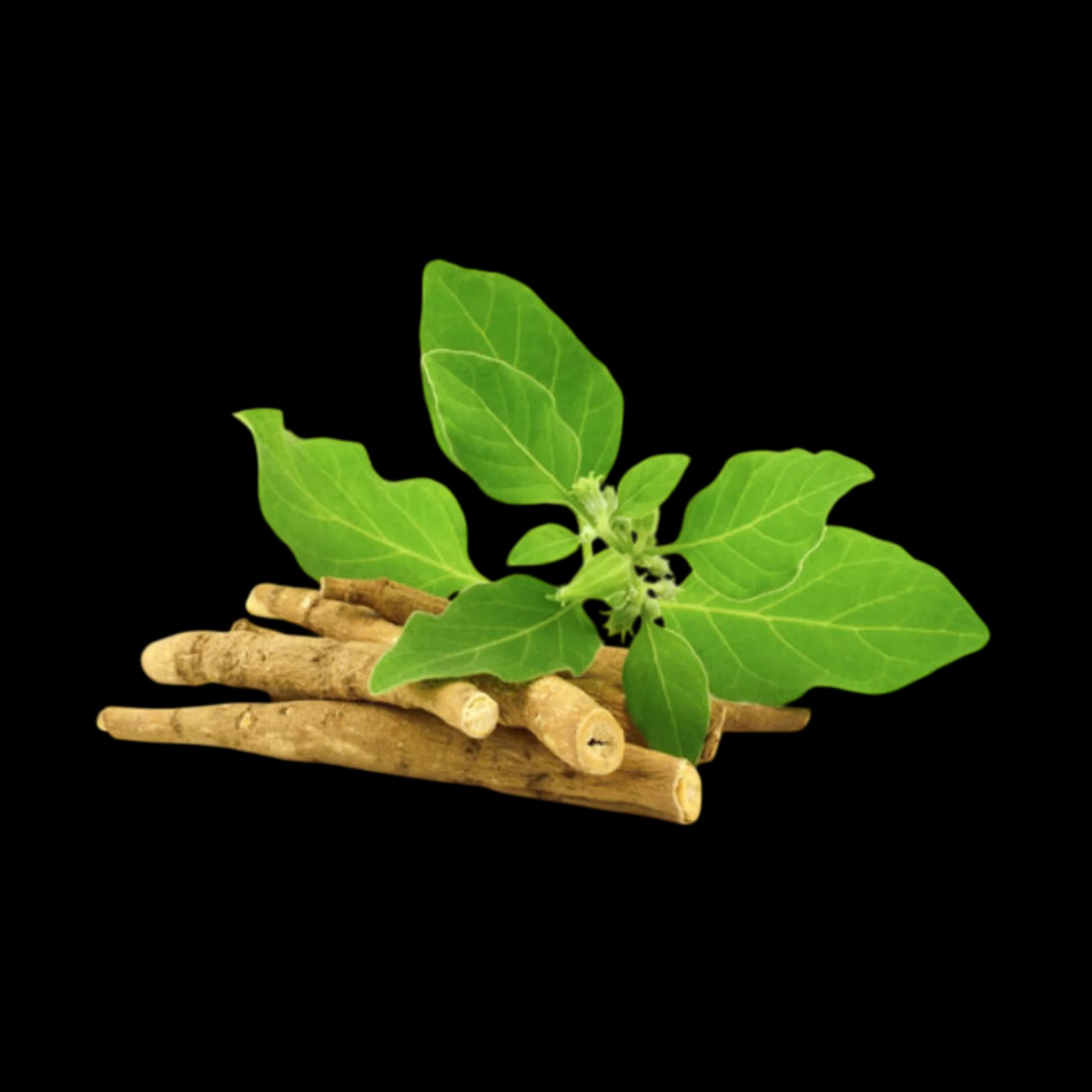Ashwagandha 