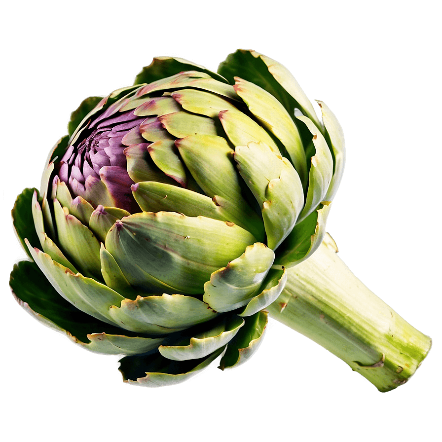 Artichoke Leaf Extract