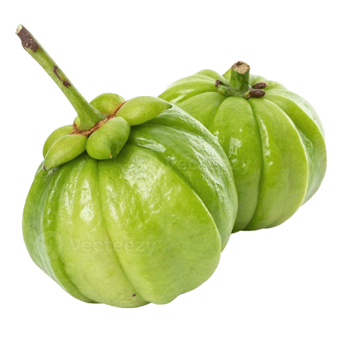 Garcinia Cambogia