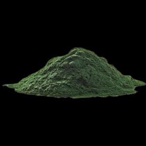 Chlorella