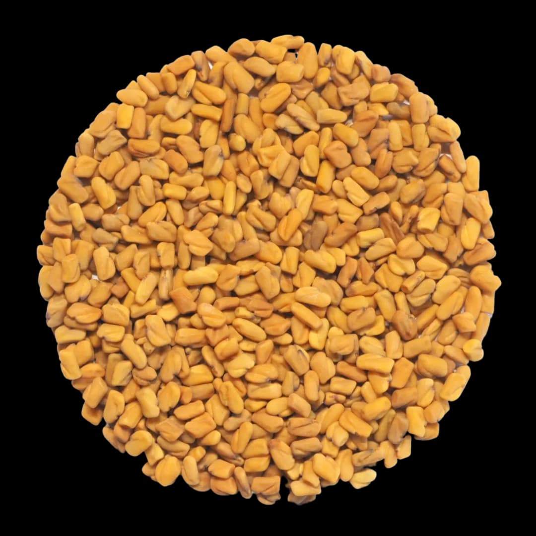 Fenugreek Extract