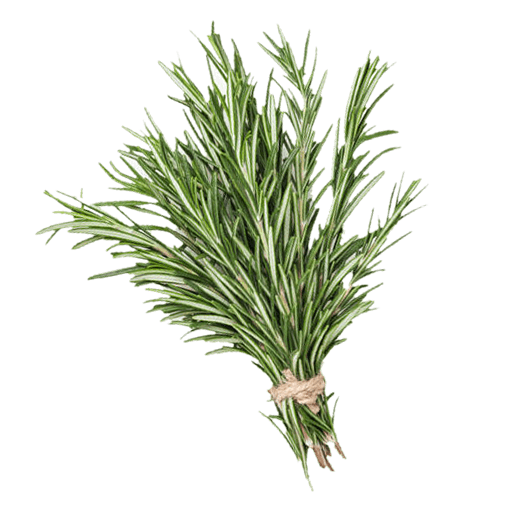 Rosemary
