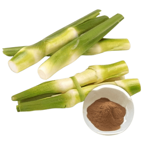 Bamboo Extract