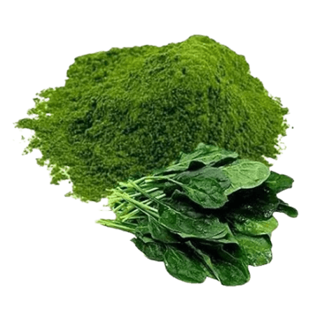 Spinach & Broccoli Extract