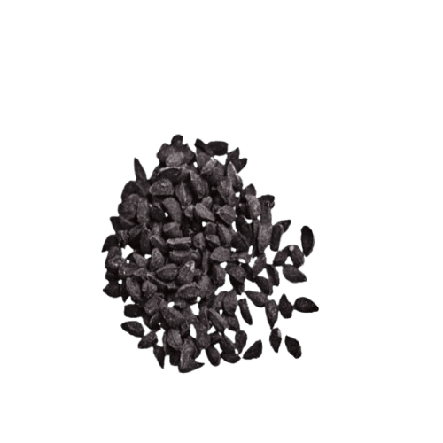 Babchi (Bakuchi) Seed Extract