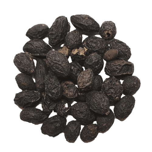 Saw Palmetto Berry