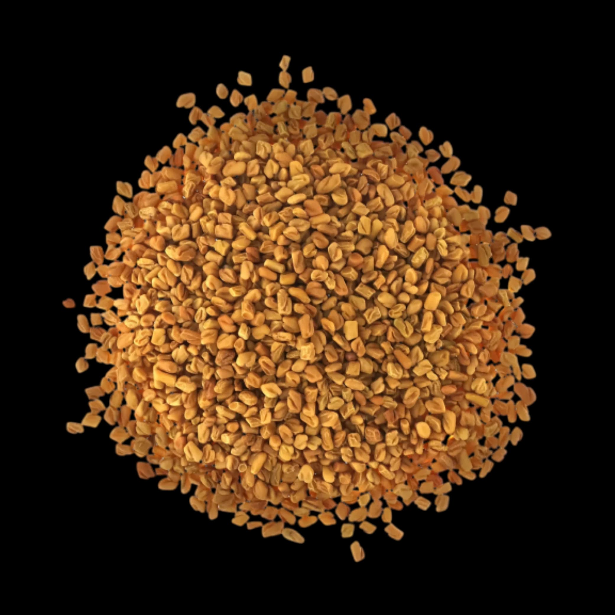 FenugreekSeeds