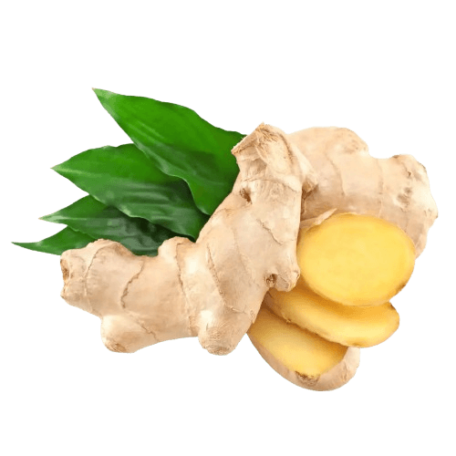Ginger Extract