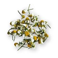 Matricaria chamomilla