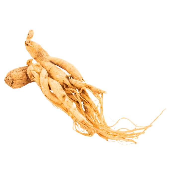 ginseng