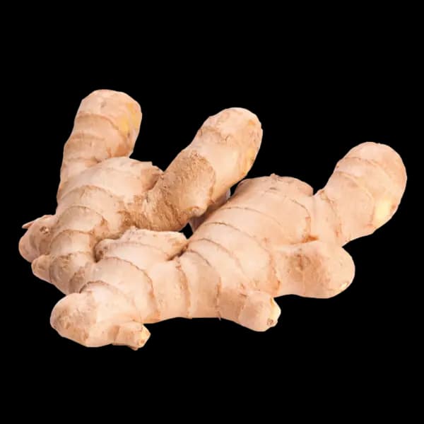 Ginger Root