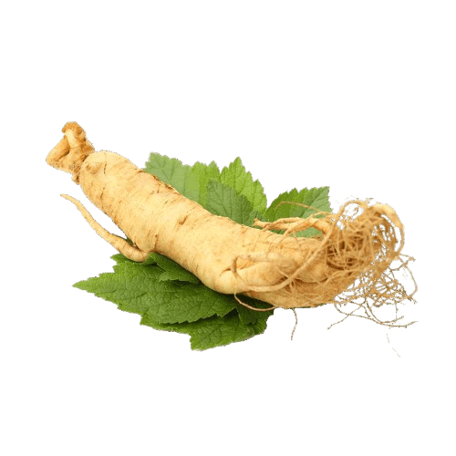 Suma Root