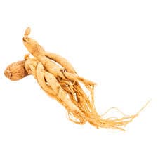 Ginseng Root