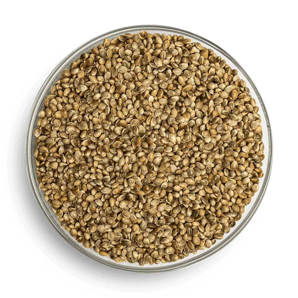 Hemp Seed Oil