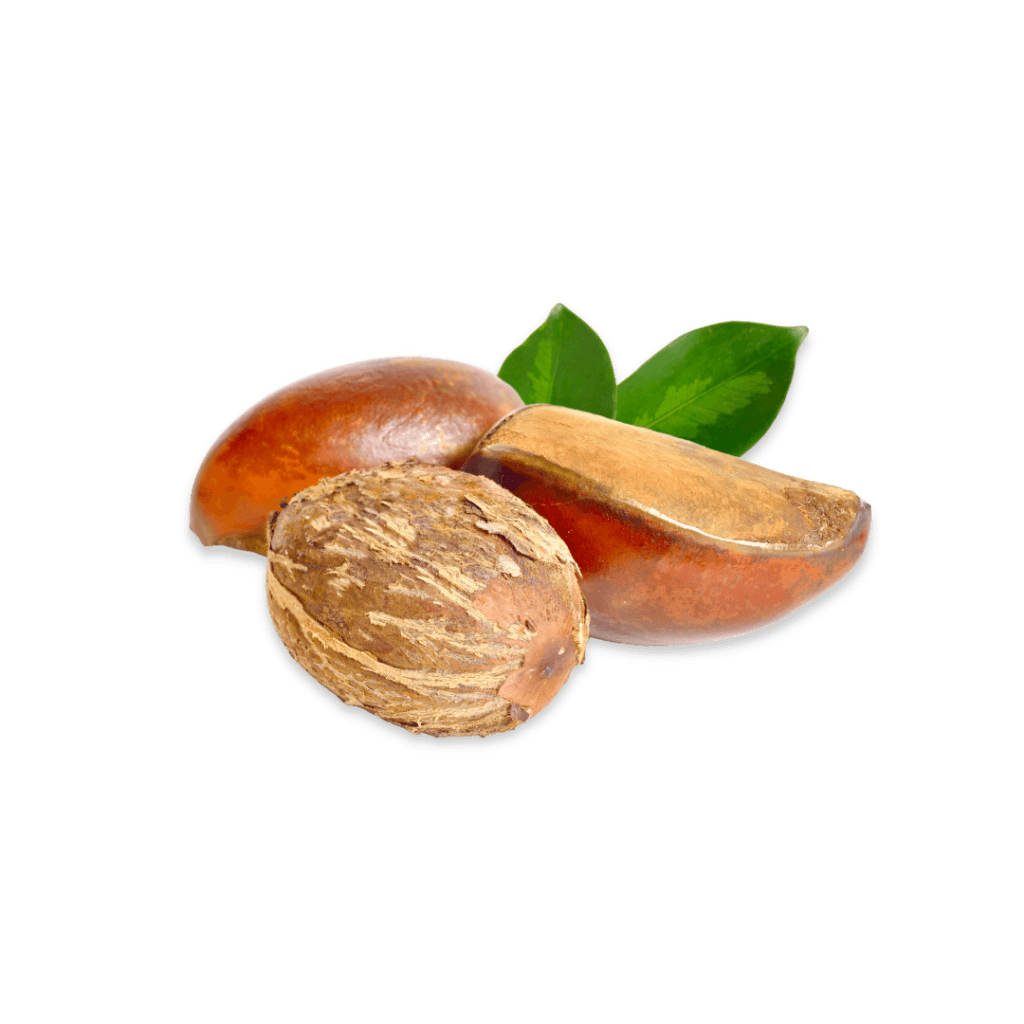 Shea Butter