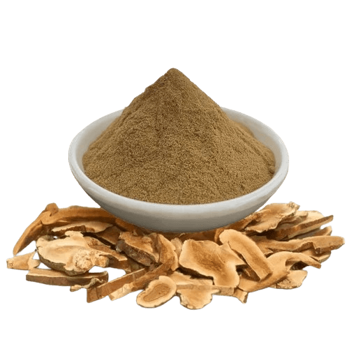 Astragalus