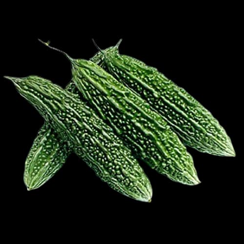 Bitter Melon Extract
