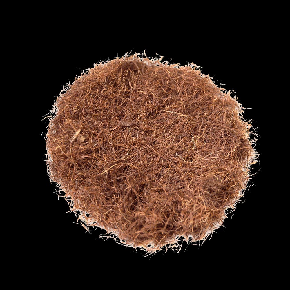 Corn Silk