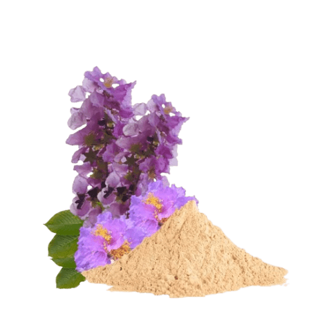 Banaba Leaf Extract