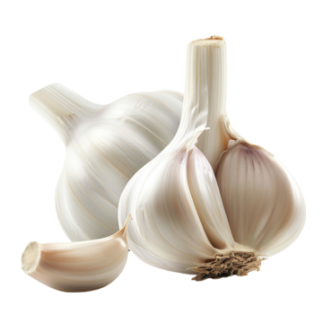 Garlic Extract